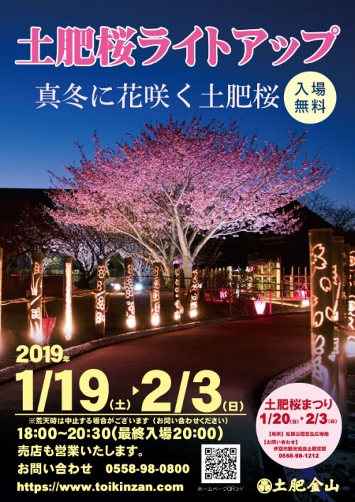 ２月３日（日）まで土肥桜ライトアップを開催いたします！
（イベントは終了しました。また来年も開催いたしますので是非ご来館ください）