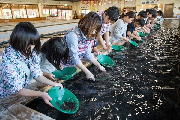 砂金採りポイントカード | ブログ | 西伊豆 土肥金山 | 家族で