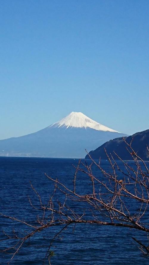 富士山修正済