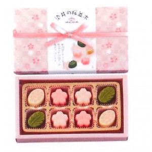 特割染井の桜並木D