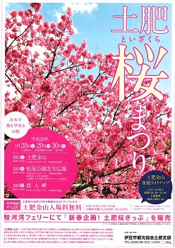 1月21日（土）～2月5日（日）　土肥金山夜桜ライトアップ！！